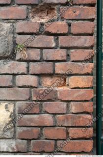 Photo Textures of Wall Bricks